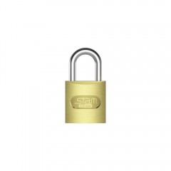 Cadeado Zamac E-Coat 25mm Encartelado